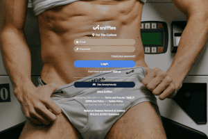 Sniffies login and landing page