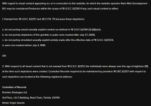 The 2257 statement on NewNaughtyNeighbors naming Neto Web Development B.V. as the website operator and giving the custodian of records as Emotive Strategies Ltd, 3rd Floor J and C Building, Road Town, Tortola, VG1110, British Virgin Islands